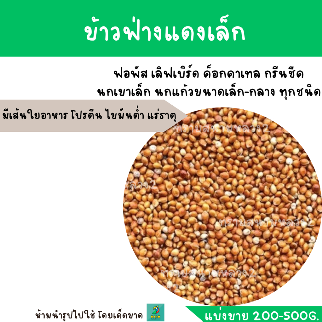 #อาหารนก
#อาหารนกแก้ว
#ข้าวฟ่างแดง
#เมล็ดธัญพืช
#อาหารสัตว์เลี้ยง