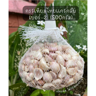 กระเทียมไทยแกะกลีบเบอร์ (2)