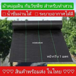 ผ้าคลุมดิน 10เมตร แบบไม่เจาะรู และ แบบเจาะรู อย่างดี ใช้งานยาวนาน เหนียว ทนทาน ผ้าคลุมหญ้า ฆ่าหญ้า ฆ่าวัชพืช กำจัดหญ้า