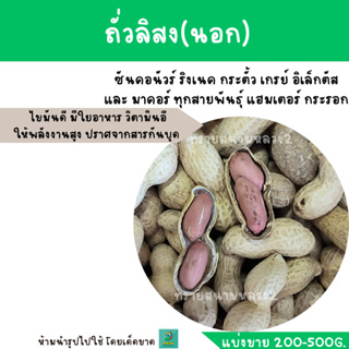 ถั่วลิสง (แบ่งขาย 200-500G.) สำหรับนกแก้วขนาดกลาง-ใหญ่ แฮมสเตอร์ กระรอก กระแต