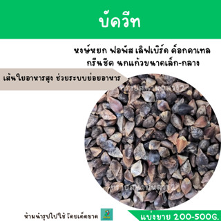 บัควีท  (แบ่งขาย 200-500G.) หงษ์หยก ฟอพัส เลิฟเบิร์ด ค็อกคาเทล  กรีนชีค นกแก้วขนาดเล็ก-กลาง