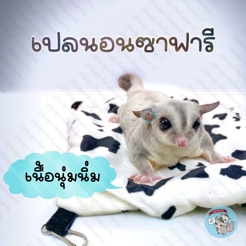 V ( เปลซาฟารี ) SAFARI เปลนอน เบาะนอน ที่นอน  แต่งกรง บ้านนุ่มนิ่ม ที่นอนนุ่มนิ่ม สัตว์เล็ก ชูการ์ กระรอก แฮมสเตอร์