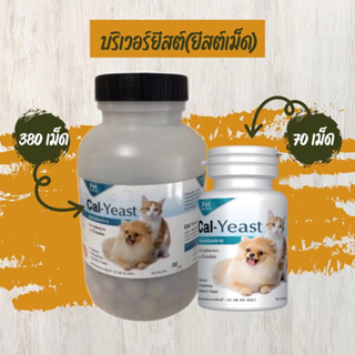 บริเวอร์ยีสต์  Cal Yeast