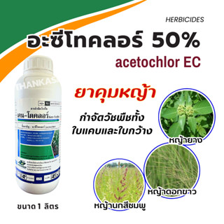 อะซีโทคลอร์ 50% acetochlor ยาคุมหญ้า กำจัดวัชพืชใบแคบและใบกว้าง ขนาด 1 ลิตร