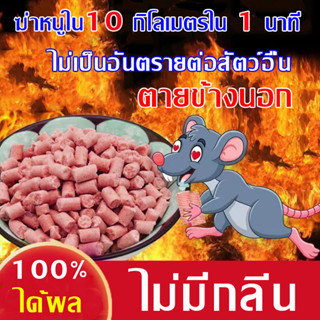 ได้ผล 100% ยาเบื่อหนูตายแห้ง ยาเบื่อหนู กําจัดหนู ยาฆ่าหนู ยาเบื่อหนูชนิดรุนแรง ไม่เป็นอันตรายต่อสัตว์อื่น ไม่มีกลิ่น