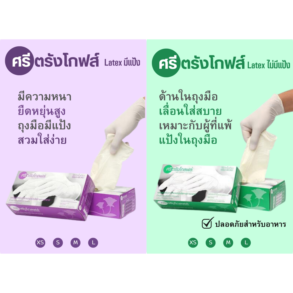 SRI TRANG GLOVE ถุงมือการแพทย์ ศรีตรัง กล่องเขียว กล่องม่วง ถุงมือยางExamination gloves Food grade