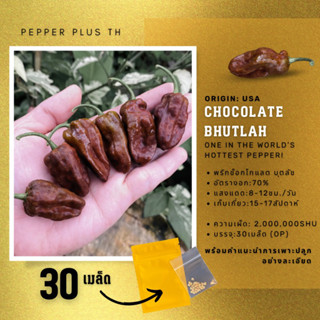 เมล็ดพันธุ์พริก Chocolate Bhutlah ยมทูตดำที่เผ็ดร้อนถึง 1,500,000SHU โหดและหายาก 30 เมล็ด