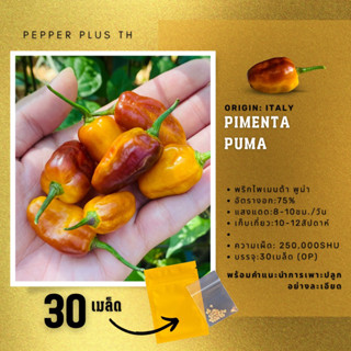 เมล็ดพันธุ์พริก Pimenta puma เมล็ดพันธุ์ 30 เมล็ด พริกที่น่าทานที่สุดในโลก