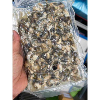 หอยขมแกะเนื้อ แช่แข็ง(500g.)เนื้อ4ขีด น้ำ1ขีด 🔥ค่าส่งเหมา✅คละได้ทั้งร้าน❗️โฟมฟรี💦ทุกจังหวัด 🚚💨ส่งขนส่งแช่เย็น❄️