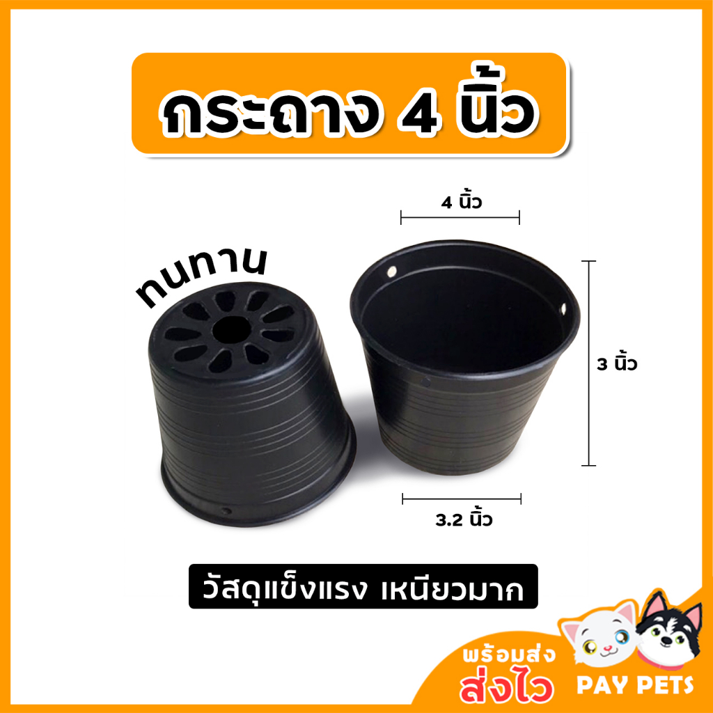 กระถาง 4 นิ้ว (1-5ใบ) หนาทนทาน เหนียวทนแดดทนฝน กระถางปลูกต้นอ่อน กระถางปลูกแคสตัส พร้อมส่ง!!