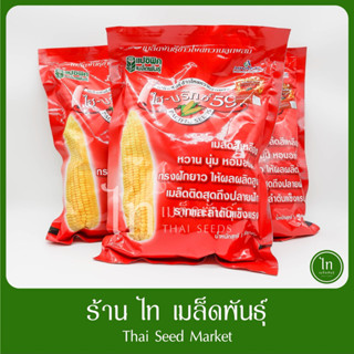 ไฮบริกซ์ 59 ไฮบริก ข้าวโพดหวาน เมล็ดข้าวโพด ข้าวโพดหวานลูกผสม F1 เมล็ดพันธุ์ตรา แปซิฟิค หวาน ทนโรค บรรจุ 1 กิโลกรัม