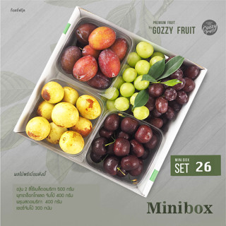 Premium fruit Mini box set 26