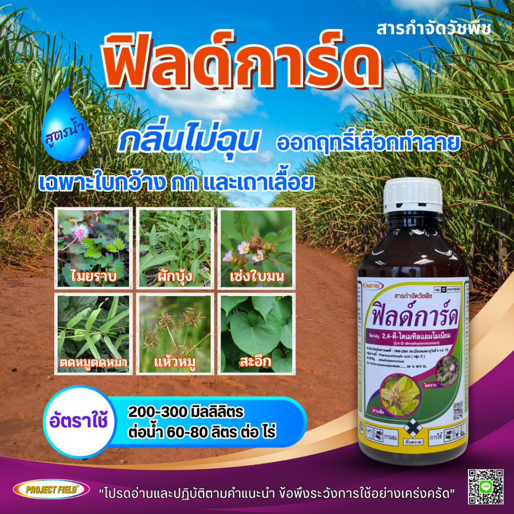 ฟิลด์การ์ดสารกำจัดวัชพืช24dตายดีต้องตัวนี้!!