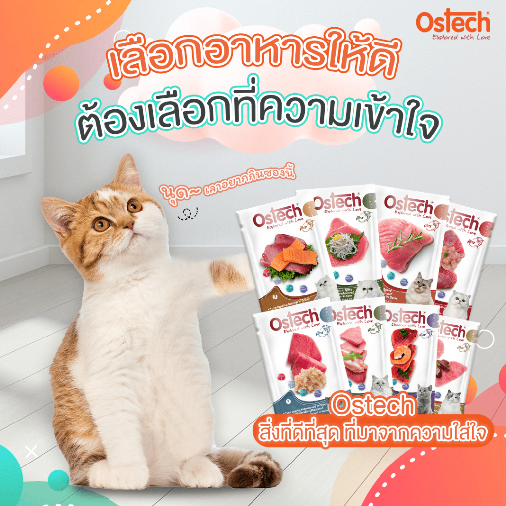 OSTECH อาหารซองแมว อาหารเปียก ออสเทค อัลตร้า ในนํ้าเกรวี่ 70 กรัม (12 ซอง)