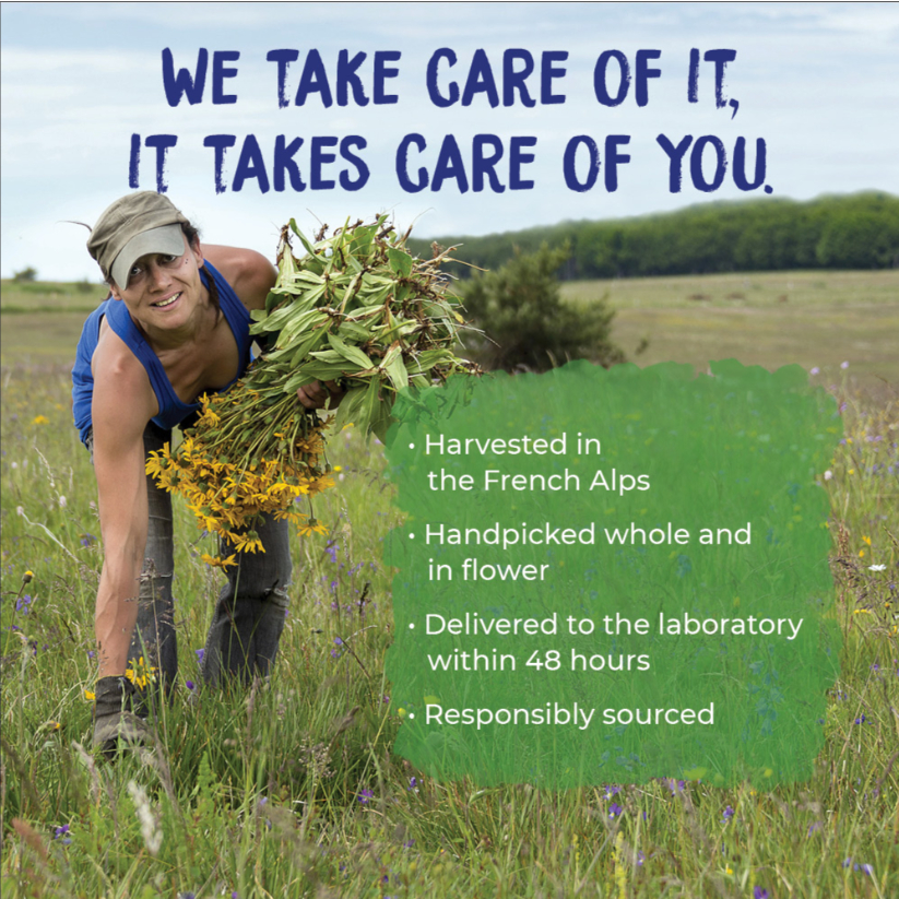 ทาลดบวมศัลยกรรม ลดรอยเขียวช้ำ บรรเทาอาการปวด Boiron Arnicare Bruise Relief Unscented 1.5 oz (45 g) - รูปที่ 3