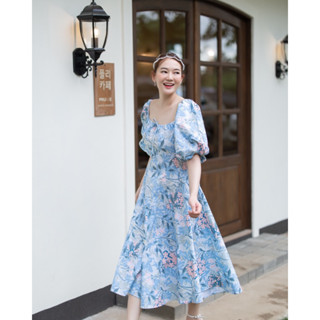 Hydrangea Blue Maxi 890.-