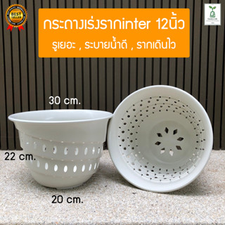 กระถางเร่งราก กระถาง air pot 12 นิ้ว กรถางมินิมอลสีขาว มีของพร้อมจัดส่ง