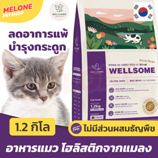 [หมดอายุ 01/2024] Wellsome Cat เวลซัม อาหารแมว โฮลิสติก ผลิตจาก แมลง ทานได้ ทุกสายพันธุ์ ทุกช่วงวัย ขนาด 1.2 กิโล