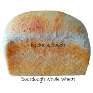 (เจ) Sourdough whole wheat bread (600 gr.)   ขนมปังโฮลวีทใช้ยีสต์ธรรมชาติ kindness dough