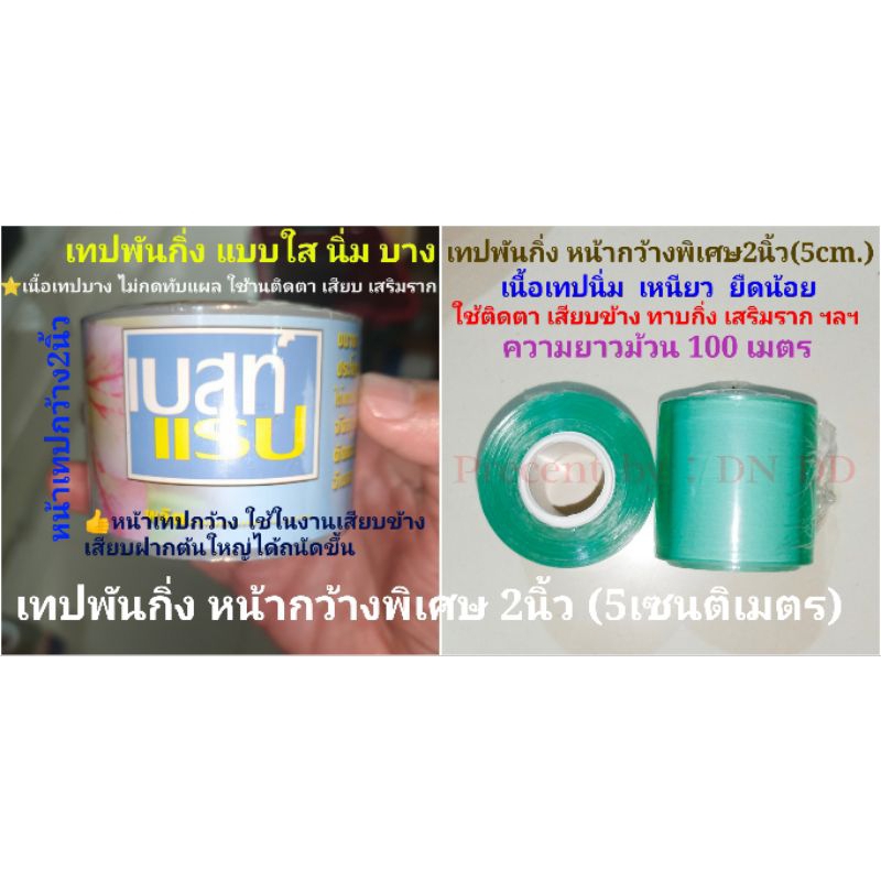 เทปพันกิ่งหน้ากว้างพิเศษ2นิ้ว0เทปใสและเทปสี ใช้ติดตา เสียบยอด ทาบกิ่ง เสริมราก ฯลฯ เทปได้มาตรฐานใช้งานได้จริง(ไม่มีกาว)