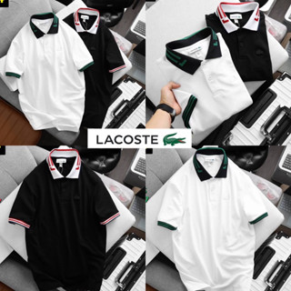 เสื้อโปโลคอปก Lacoste Basic ผ้า Cotton 💯 | เสื้อคอปกผู้ชาย | เสื้อโปโล 👕 ร้านค้าจัดส่งไว