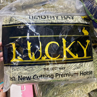 timothy hay 1kg. หญ้าทิโมธีจากธรรมชาติ สำหรับสัตว์เลี้ยง ช่วยในการย่อยอาหารและการขับถ่าย ใบมีขนาดใหญ่ช่วยขัดฟันแบบหยาบ