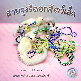 V ( สายจูง 1.4 เมตร ) สายรัดอกสัตว์เลี้ยง ที่รัดอก ที่จูง เชือกรัดอก สัตว์ สัตว์เล็ก ชูการ์ กระรอก ดอร์เมาส์ แฮมสเตอร์