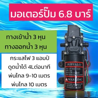 มอเตอร์ปั้มพ่นยา Buffalo 6.8 บาร์ มอเตอร์ปั้มเดี่ยว มอเตอร์ปั้มพ่นหมอก