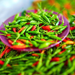 เมล็ดพันธุ์ พริกขี้หนูสวน 120 เมล็ด  เมล็ดผัก เมล็ดพันธุ์พืช