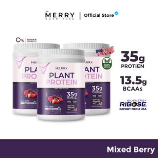 Merry Plant Protein โปรตีนพืช 5 ชนิด : รส Mixed Berry Flavor 3 กระปุก 2.3lb. / 1,050g.