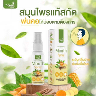 Cherdchine Mouth Spray 20 ml. สเปรย์พ่นคอ เฉิดฉาย