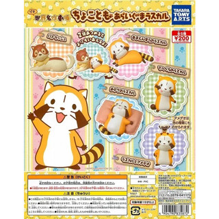 Gashapon Anime Rascal the Raccoon Chocomo Mascot