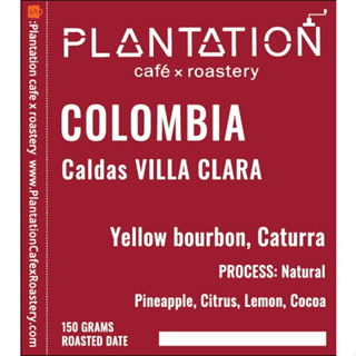 เมล็ดกาแฟคั่วอ่อน Colombia Caldas VILLA CLARA