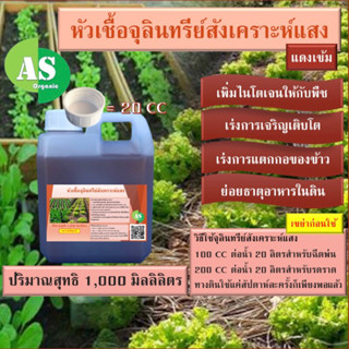 หัวเชื้อจุลินทรีย์สังเคราะห์แสง บรรจุ 1,000 มิลลิลิตร