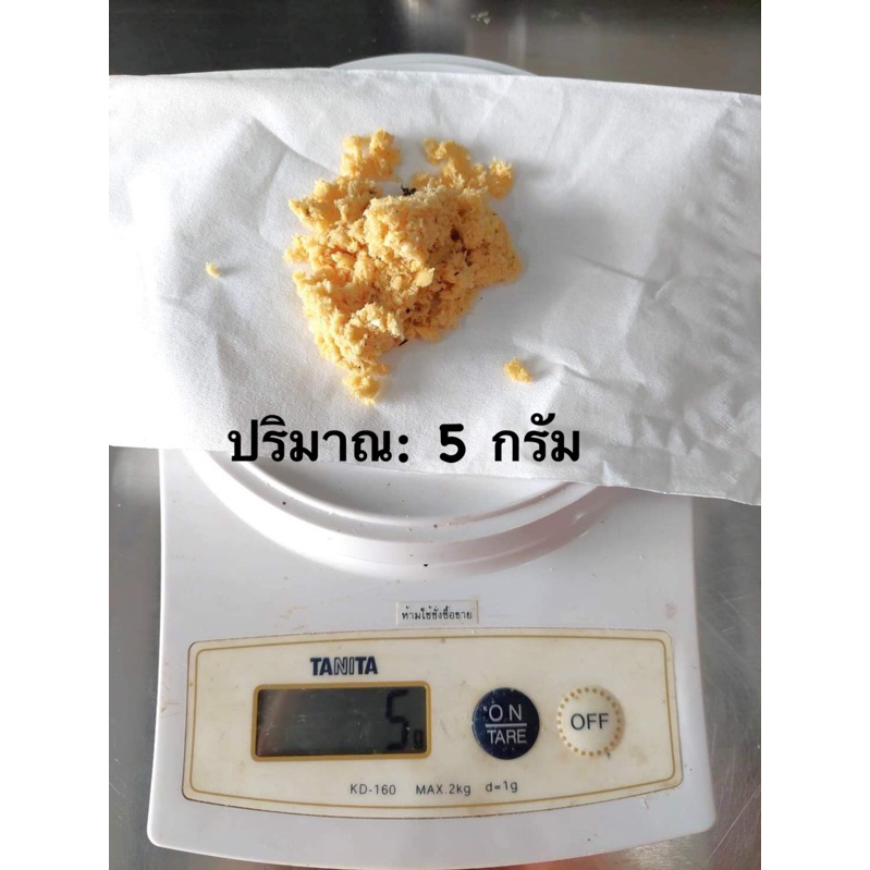ไข่หนอนแมลงวันลาย ไข่หนอนแม่โจ้ ไข่หนอนโปรตีน ไข่หนอนBSF Black soldiers fly