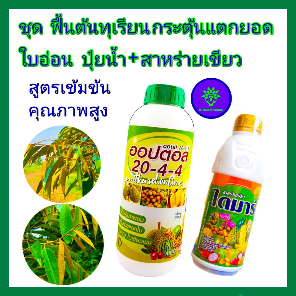 ชุด กระตุ้นยอดใบอ่อนทุเรียน ฟื้นต้นทุเรียน +ปุ๋ยน้ำ 20-4-4 สาหร่ายเขียว ไดมาร์1ลิตร+ปุ๋ยน้ำ20-4-4 ขน