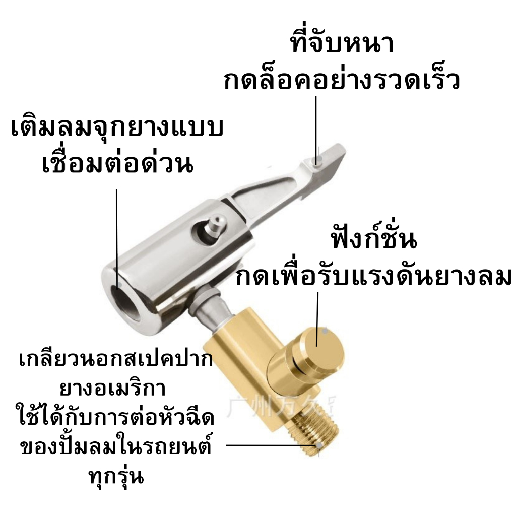รูปภาพ 2