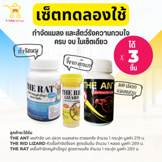 เซ็ตทดลองใช้ (ได้ 3 ชิ้น) กำจัดมด ปลวก แมลงสาบ + กำจัดจิ้งจก + กำจัดหนู