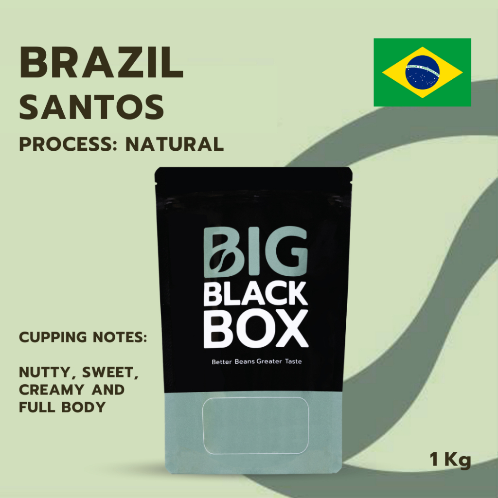 (11-AM-BR-C-N01) สารกาแฟ  BRAZIL SANTOS NY2/3 SC17/18 FC Natural Process 1 kg