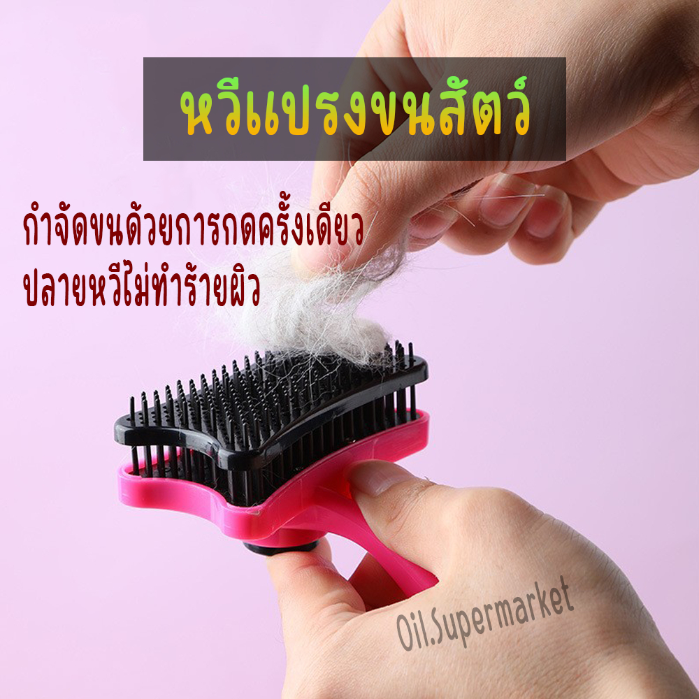แปรงหวีขนสัตว์เลี้ยง ถูกที่สุด พร้อมโปรโมชั่น ธ.ค. 2025 | BigGoเช็คราคา ...