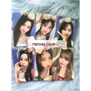 🌺พร้อมส่ง🌺 การ์ด makestar ver.มงกุฎดอกไม้