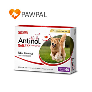 Antinol Dog 🔥 ของแท้ แพ็คเกจใหม่ Exp.12/2024 อาหารเสริม บำรุงข้อ ลดอักเสบ สุนัข แมว