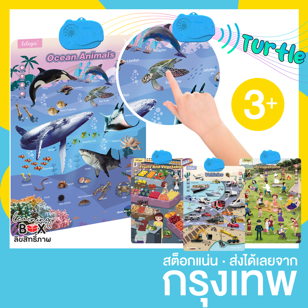 โปสเตอร์พูดได้ สัตว์ทะเล ผัก ผลไม้ ยานพาหนะ อาชีพ talking poster CN