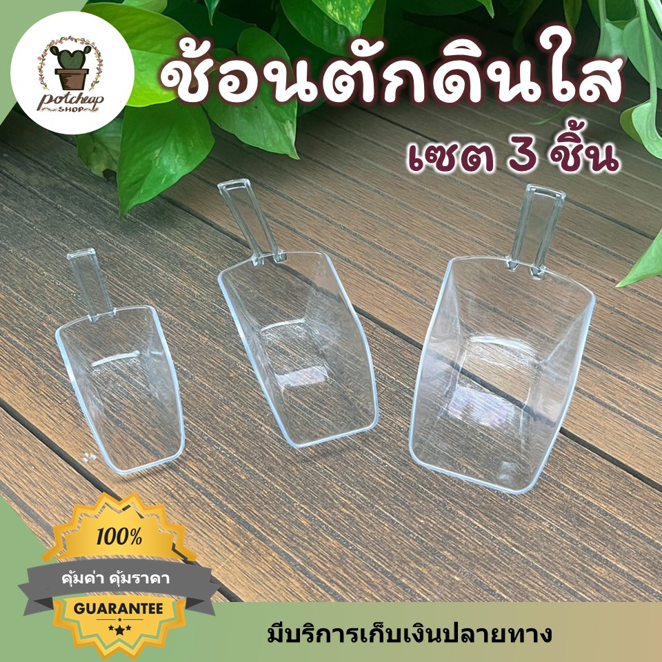 ช้อนตักหิน ดิน สีใส เซต 3 ชิ้น ปลูกแคคตัส