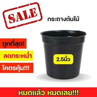 กระถางดำ 2.5 นิ้ว กระถางต้นไม้ กระถางพลาสติก กระถาง 2.5 นิ้ว กระถางต้นไม้พลาสติก กระถางใบเล็ก กระถางต้นไม้เล็ก