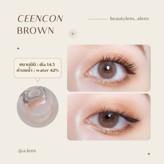 Ceencon brown | เลนส์ไร้ขอบ รายเดือน