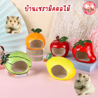 บ้านเซรามิคผลไม้ บ้านเย็น แฮมเตอร์ สัตว์เล็ก Small Pet เซรามิก หนู