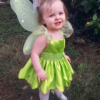 ชุดแฟนซี แฟรี่ ทิงเกอเบลล์ รวม ปีกนางฟ้า สำหรับ เด็ก Tinkerbell Fairy Fancy Costume for Kid