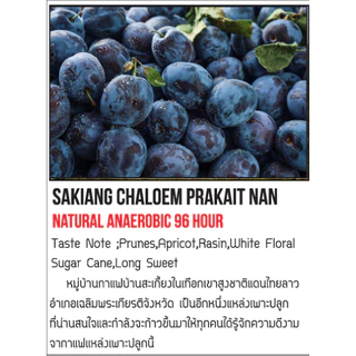 Nan Coffee Roasteryเมล็ดกาแฟพิเศษน่านบ้านสะเกี้ยงน่านMixBerry Anaerobic96Hour Omni Roast For Fillter