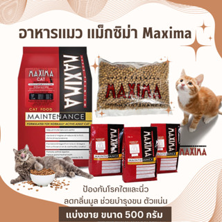 Maxima แม็กซิม่า อาหารแมว โปรตีนสูง เพิ่มกล้ามเนื้อ บำรุงขน (แบ่งขาย 500 กรัม)